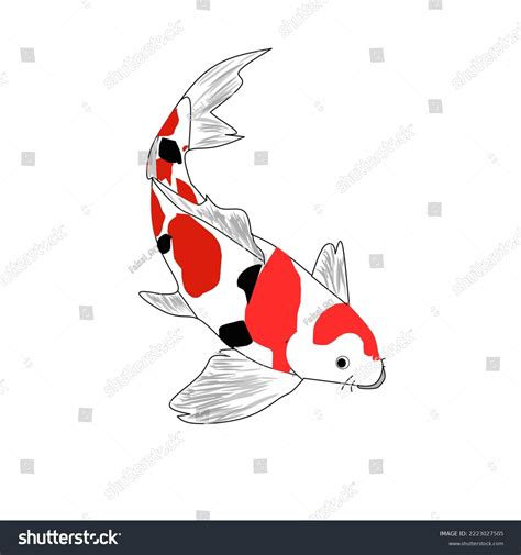 Kohaku Type Koi Fish Cartoon Gambar Stock Illustration 2223027505 | Shutterstock