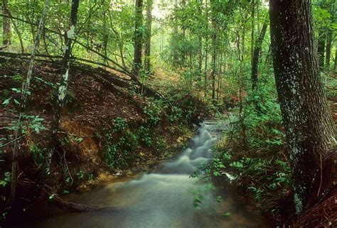 Falling Waters State Park - Florida Traveler