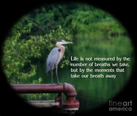 Blue Heron Attitude Quote Photograph by Smilin Eyes Treasures | Pixels