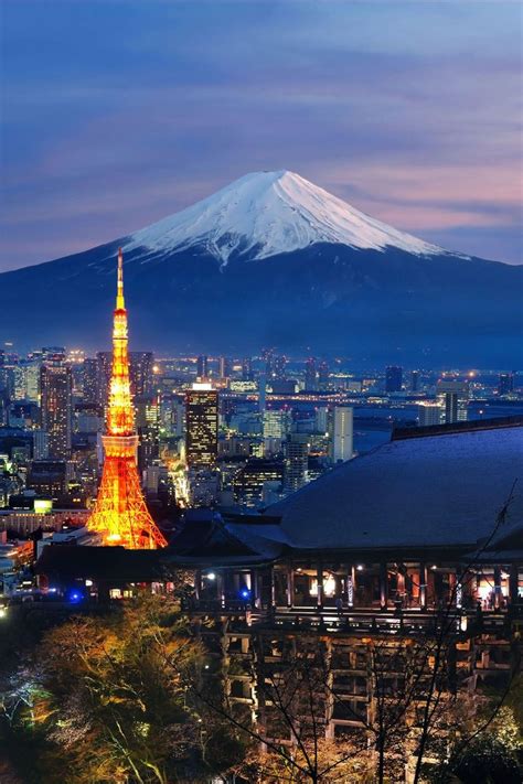 What a spot to peek at Mt Fuji from in Tokyo, Japan | Adventure travel, Travel, Fuji