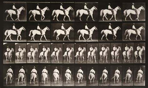 Eadweard Muybridge - HUMAN LOCOMOTION-MALE-PLATE 249 For Sale at 1stDibs