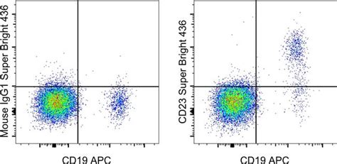 CD23 Antibody, Super Bright™ 436 (62-0238-42)