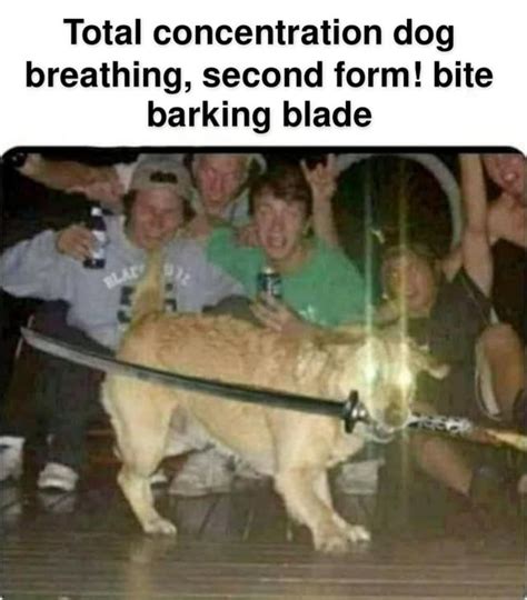 Demon slayer dog has arrived : r/memes