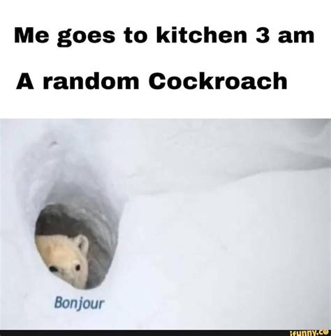 28 Bonjour Bear Memes That Just Want To Say "Bonjour"