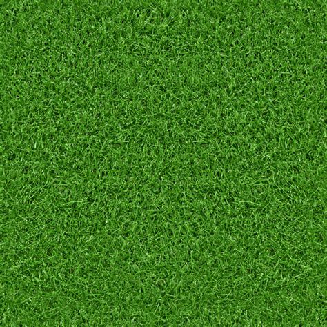 green-grass-texture_800 – Golf Swing – CSUQ