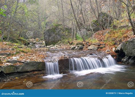 Mountain brook in autumn stock image. Image of rivulet - 830873