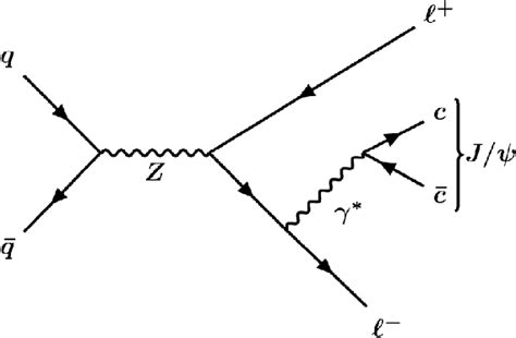 Leadingorder Feynman Diagram For The Production Of The Z