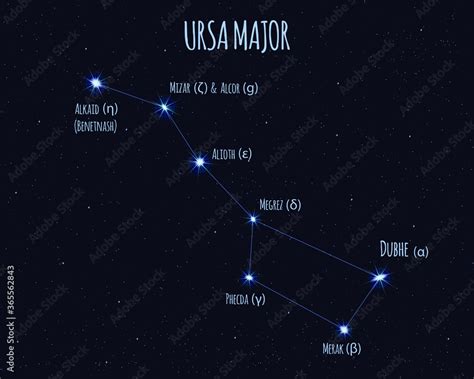 Ursa Major (Great Bear, Big Dipper) constellation, vector illustration with the names of basic ...