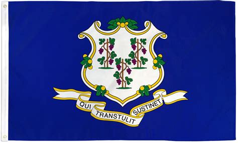 Connecticut State Flag 3x5ft Polyester | Official Flag Pole ...