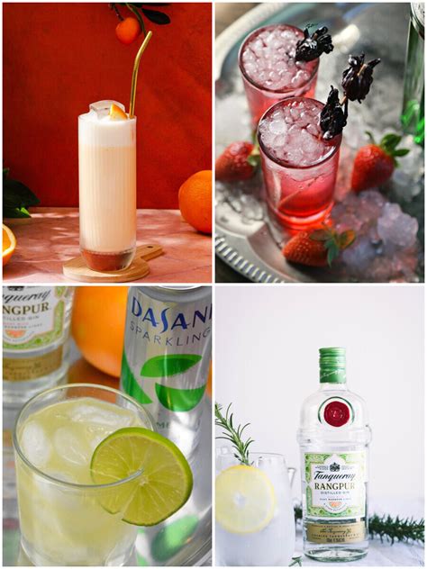 10 Tanqueray Gin Cocktails to Shake Up Your Summer!