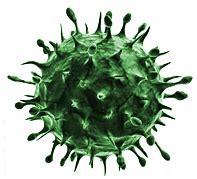 Ugly Green Virus transparent PNG - StickPNG