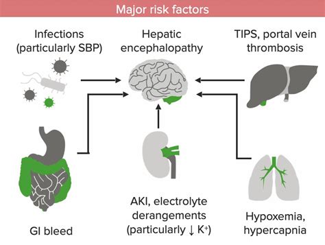 Hepatic Encephalopathy | Concise Medical Knowledge