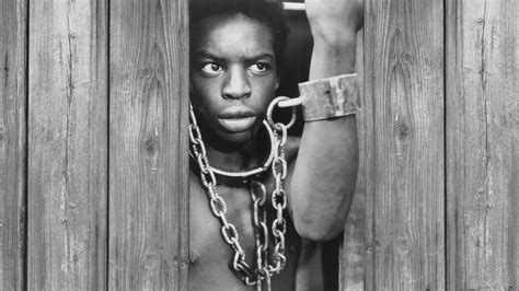 'Roots' Remake Greenlit, With LeVar Burton As Producer | CBR