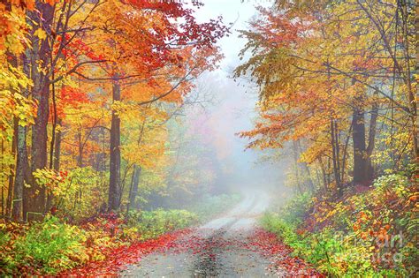 Misty autumn road in rural Vermont Photograph by Denis Tangney Jr - Pixels