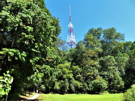 Bukit Batok Nature Park – Hiking the Green Isle