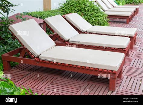 Pool chairs near swimming pool with tree background Stock Photo - Alamy