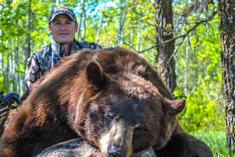 Black Bear Hunting in Manitoba's Parkland - MidWest Outdoors