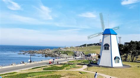 Unravel Hidden Gems of Ulsan: Your Ultimate Guide | KoreaTravelPost