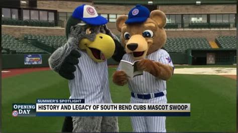 Summer's Spotlight: The legacy of South Bend Cubs mascot Swoop