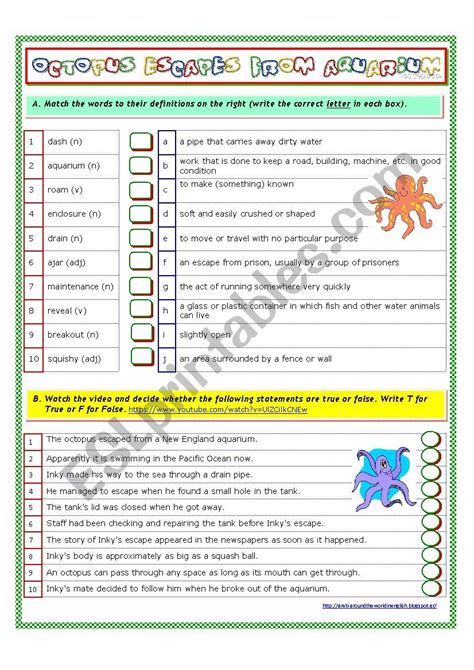 Octopus Escapes from Aquarium - ESL worksheet by serene