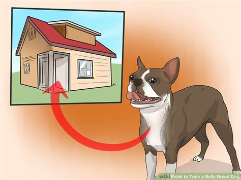 How to Train a Bully Breed Dog (with Pictures) - wikiHow