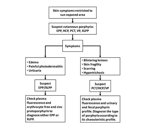 Diagnosis Algorithm for Porphyria Cutaneous Symptoms. ADP,... | Download Scientific Diagram