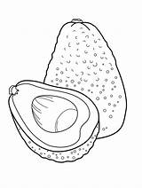 Avocado Coloring Page  Free Printable Pages For Kids sketch template
