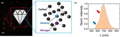 Fluorescence emission of single nanodiamonds. (a) Widefield TIRF image... | Download Scientific ...