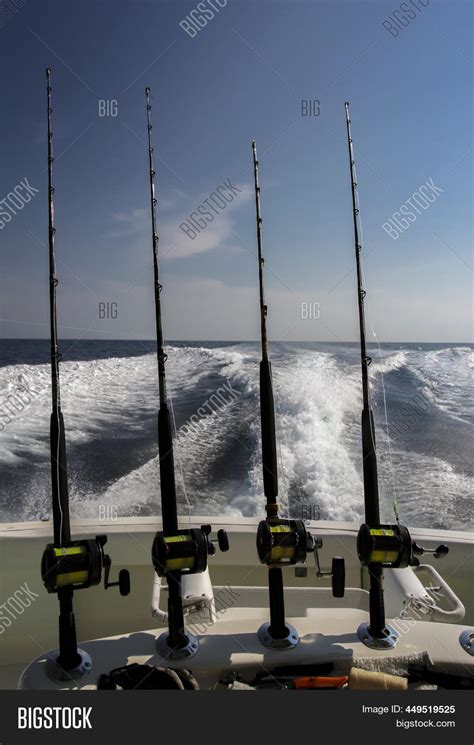 Fishing Spinning Rods Image & Photo (Free Trial) | Bigstock