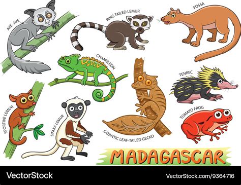 Set of cute animals cartoon in the madagascar Vector Image