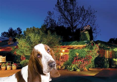 Pet Friendly Hotels in Sedona AZ | TripsWithPets