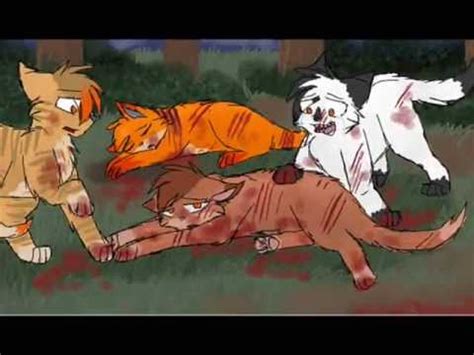 warrior cats deaths falling inside in the back - YouTube