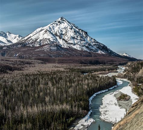 Roadside Views On The Alaska Highway Photograph by Alasdair Turner