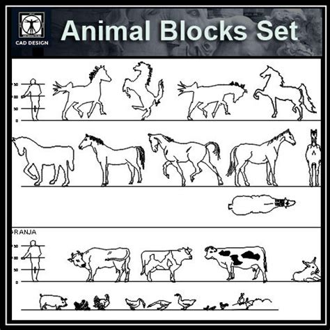 Animal CAD Blocks - CAD Files, DWG files, Plans and Details