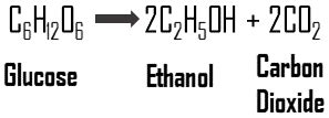 Ethanol Fermentation Equation