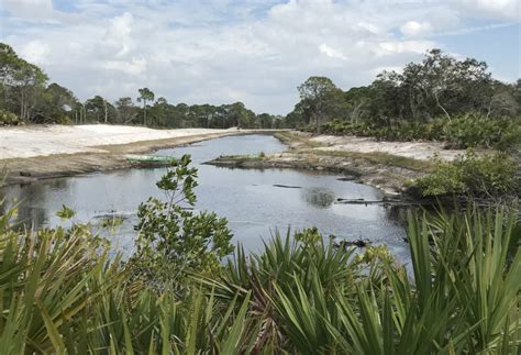 Juvenile Tarpon Habitat Connectivity by JoEllen Wilson, BTT Juvenile Tarpon Habitat Program ...