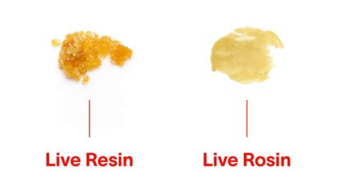 The Ultimate Guide to Live Rosin | Your Highness Cannabis