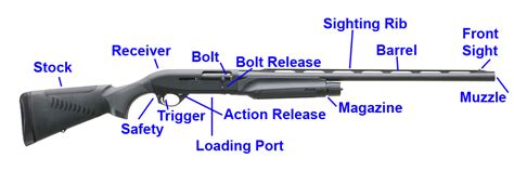 How to Shoot a Shotgun - Pew Pew Tactical