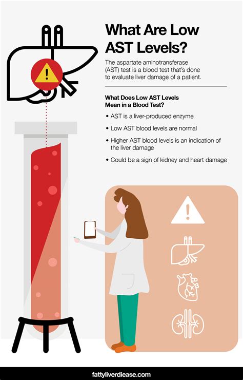 What Does Low AST Levels Mean in a Blood Test? - Fatty Liver Disease