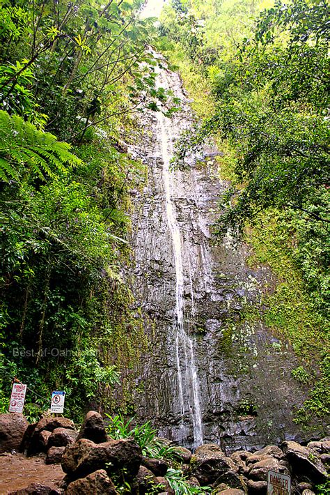 Hiking Manoa Falls