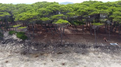 The Beach in Sardegna 28537567 Stock Video at Vecteezy