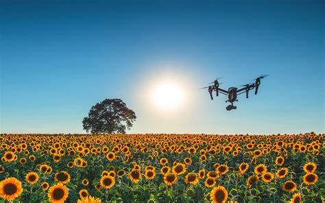 The Future of Drones in Photography, Film, and Video Production - The Shutterstock Blog