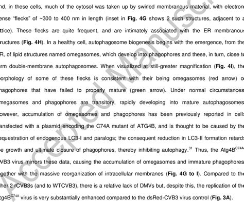 G), and this virus caused some characteristic changes, distinct from... | Download Scientific ...