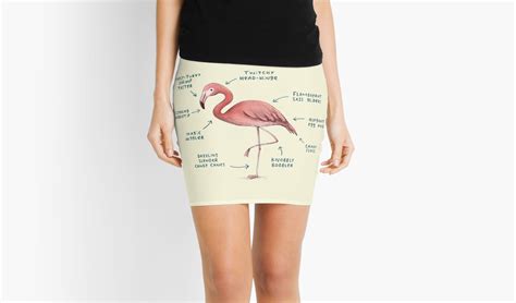 Flamingo Leg Anatomy - Anatomical Charts & Posters