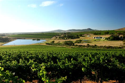 South Africa's Wine Regions — vinportequoi.com
