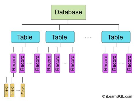 A Schematic Of The Entire Database That Describes