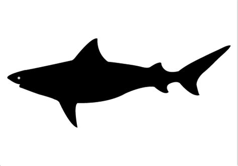 The best free White shark silhouette images. Download from 8635 free ...