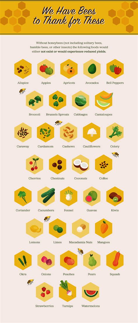 More Than Honey: Honeybees and Our Food System - Cornucopia Institute