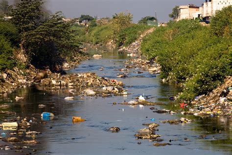 English: The way to success: Different Kinds Of Pollution