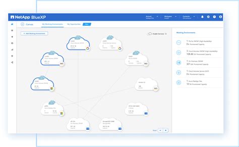 Cloud Volumes ONTAP: Deploy Storage in the Public Cloud